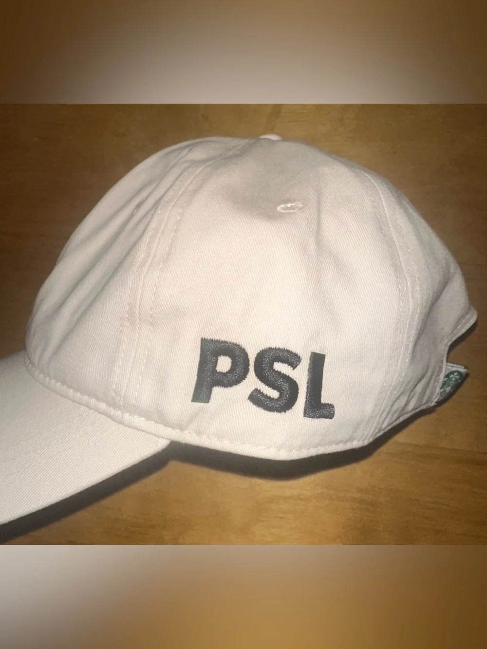 Starbucks PSL 2026 Baseball Cap Pumpkin Spice Latte Dad Hat Brand New With Tags
